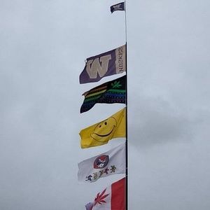 Meet your Posher, Sam